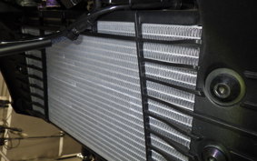 YAMAHA MT-25 A RG95J
