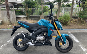 KAWASAKI Z125 PRO BR125H