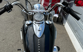 HARLEY FLSTC 2014 BW5