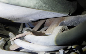 HONDA DIO CESTA 2025 AF34