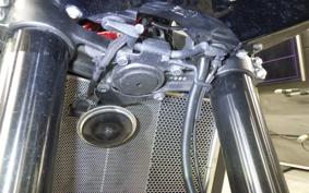 KAWASAKI Z900 Gen.2 2019 ZR900B