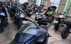 TRIUMPH TIGER SPORT 800 2026 L25P18