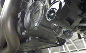 INDIAN FTR1200 carbon 2023