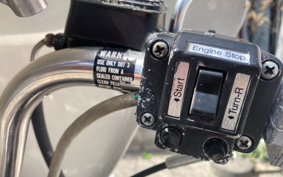 HARLEY FLH 1200 2023 194