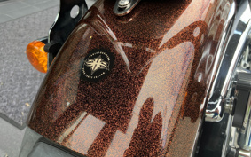 HARLEY XL1200V 2015 LF3