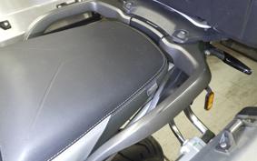 TRIUMPH TIGER 900 GT PRO 2020