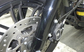 HARLEY XL1200XS 2020