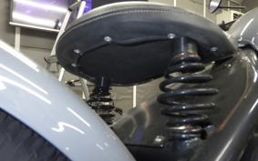 OTHER +UNREGISTERED MODEL by BDS250 2015