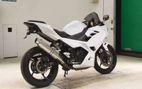 KAWASAKI NINJA 250 2025 EX250P