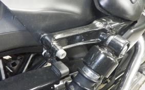 HARLEY XL883N 2010