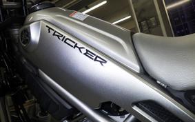 YAMAHA TRICKER DG10J