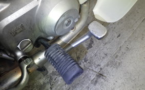 HONDA C90 SUPER CUB DX 2021 HA02