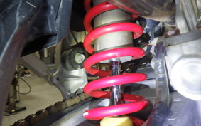 SUZUKI RM-Z250 2025