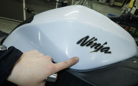 KAWASAKI NINJA 250 EX250L