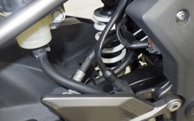 KAWASAKI Z250 SL 2023 BR250E