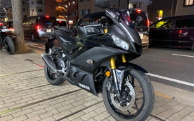 YAMAHA YZF-YZF-R3 ABS 2019 RH13J