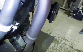 HUSQVARNA SVARTPILEN 401 2022