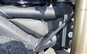 TRIUMPH STREET TRIPLE 2008