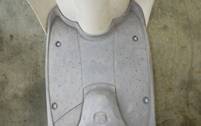 HONDA CREA SCOOPY AF55