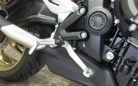 TRIUMPH TRIDENT 800 2026