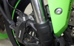 KAWASAKI ZX-4RR 2023 ZX400P