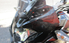 KAWASAKI VERSYS-X 250 ABS TOURER LE250D
