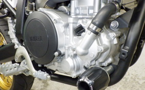 YAMAHA WR250X DG15J