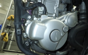 YAMAHA WR250X 2024