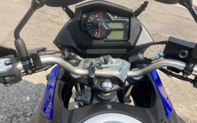 SUZUKI DL650 ( V-Strom 650 ) C733M