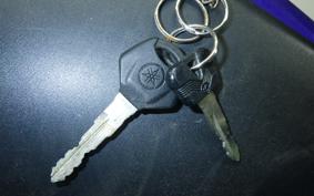 YAMAHA YZF-R25 2024 RG10J