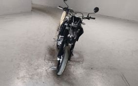 YAMAHA WR250X DG15J