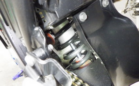 YAMAHA WR250X DG15J