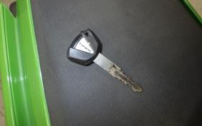 KAWASAKI NINJA 250 EX250P