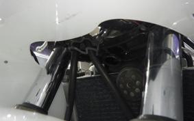 HONDA NSR250R 2008 MC21