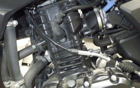 SUZUKI Vｽﾄﾛｰﾑ250A 2013