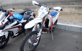 KTM 250 EXC TPI SIXDAYS GSA20