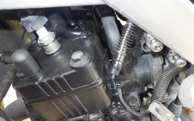 SUZUKI RG250 Gamma GJ21A