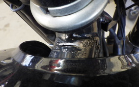 KAWASAKI ESTRELLA