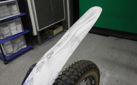 HONDA RTL250R 2019 RTL250RF