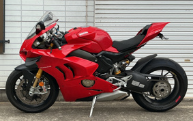 DUCATI PANIGA-REV4S 2021 DA00J
