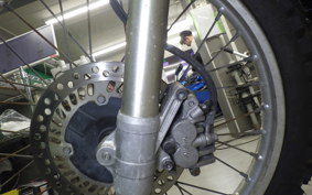 HONDA XR250 BAJA 2010 MD30