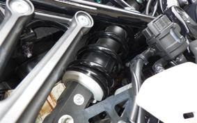 KAWASAKI Z900RS 2025 ZR900K