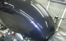 TRIUMPH SPEED TWIN 900 2024