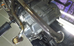HONDA GORILLA 2022 Z50J