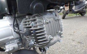 HONDA ｸﾛｽｶﾌﾞ50 AA06