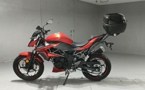 KAWASAKI Z250 SL BRAF17