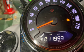 HARLEY FLDE 2020 YCJ