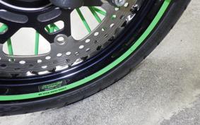 KAWASAKI KLX250D TRACKER X 2017 LX250V