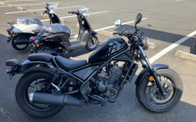 HONDA  REBEL 250 ABS MC49