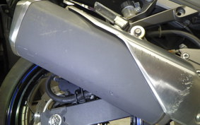 KAWASAKI NINJA 250 EX250L